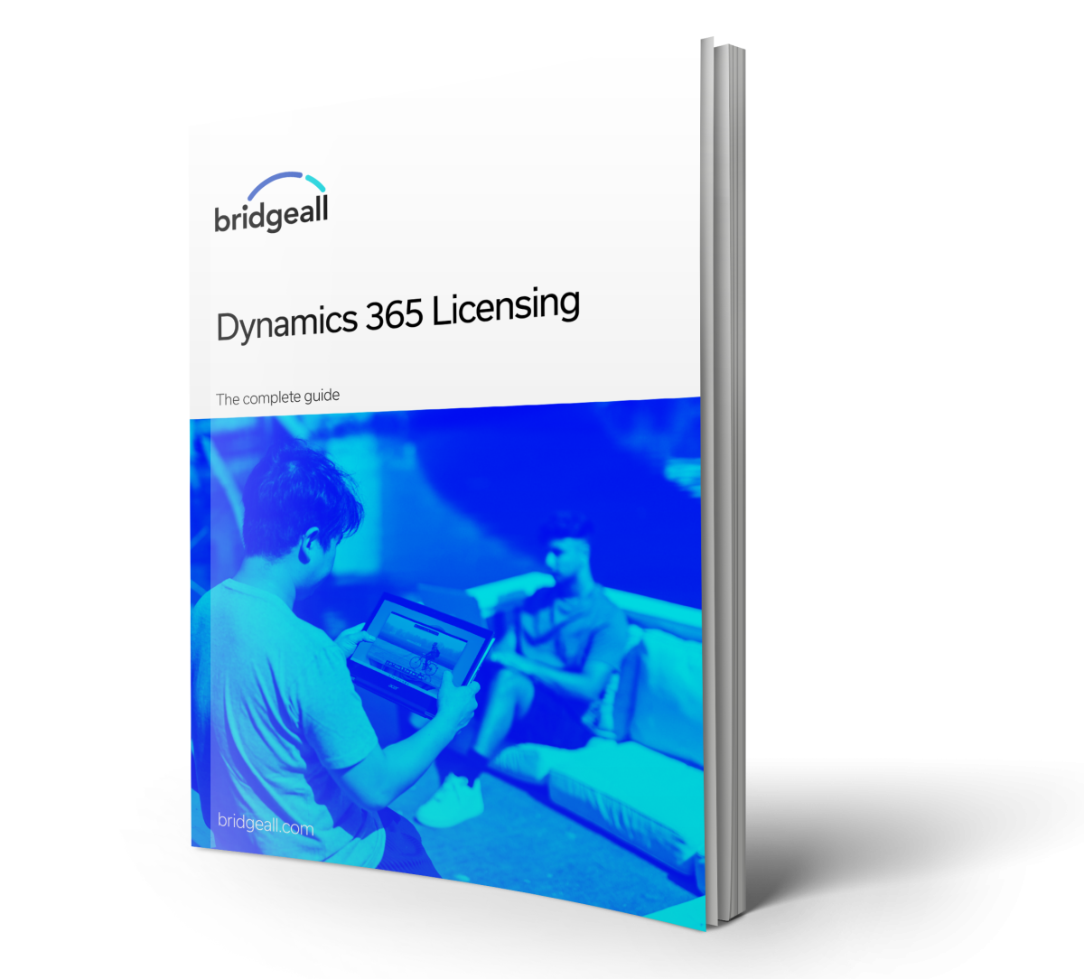 Dynamics 365 Licensing Guide Bridgeall